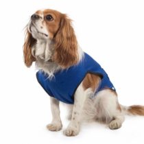 Ancol Pet Cooling Coat X-Small 25 cm