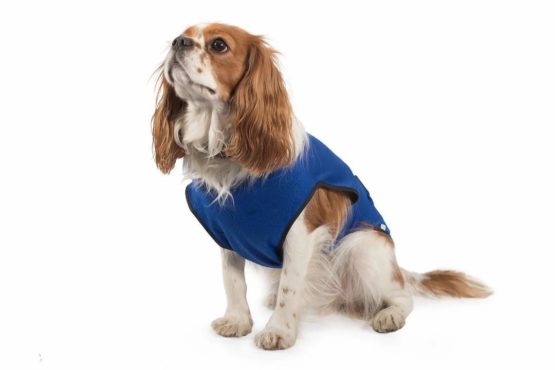 Ancol Pet Cooling Coat X-Small 25 cm