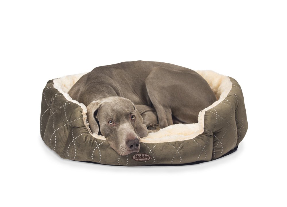 Nobby Comfort Bed Ceno, 66 x 57 x 22 cm, Beige,Brown