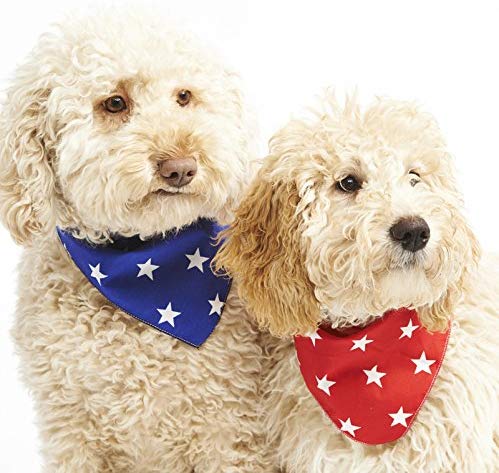 Pet Pooch Boutique Star Bandana for Dog X-Small/Small, Blue, Blue Star - Image 2