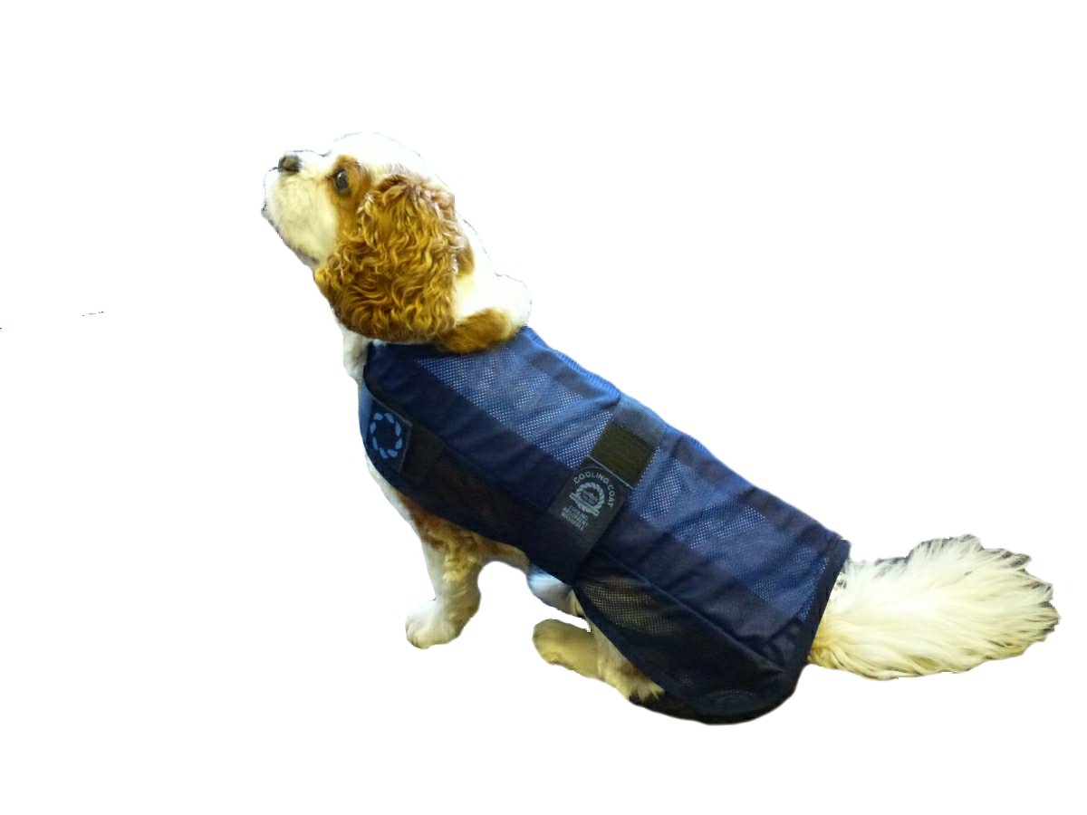Animate Cooling Dog Coat and Bag, Large, 20Inch, Navy BigaMart