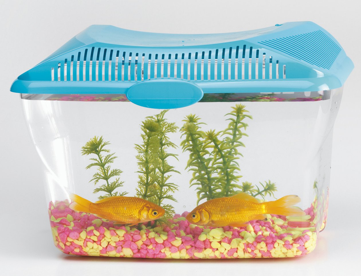 SAVIC Aqua-Smile 30 x 20 x 23 cm, 6 Litre, mehrfarbig, 30X20X23Cm