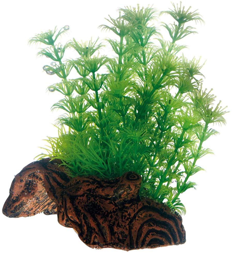Hobby Flora Root 3 S 51597 Root Replica with Artificial Plastic Plants, Multicoloured, Small