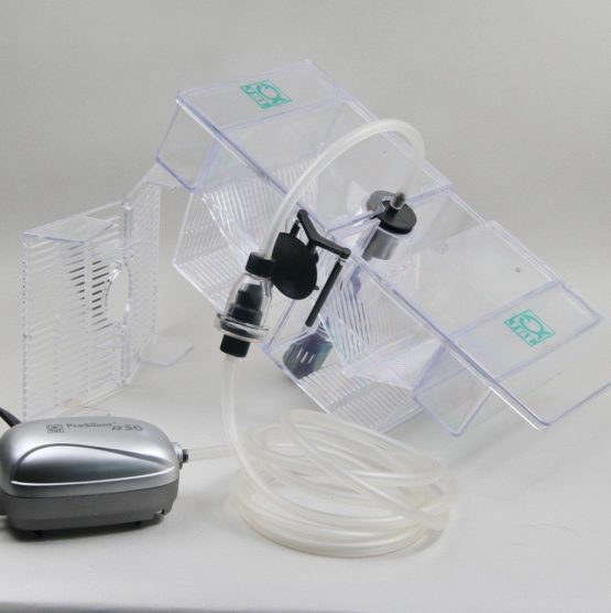 JBL BabyHome Oxygen Breeding Aquarium Box - Image 4