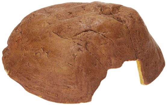 Exo Terra Reptile Cave, Extra-Large