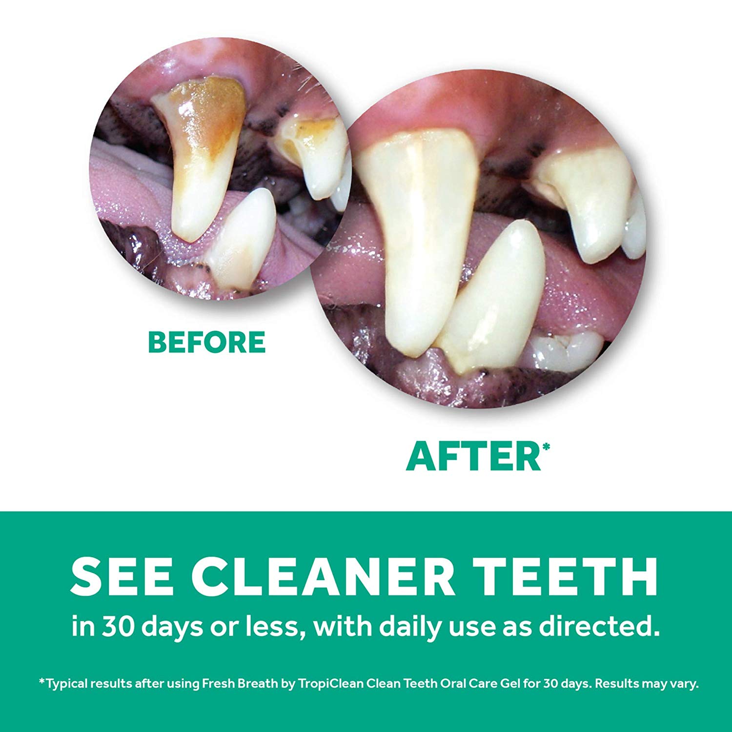 TropiClean Fresh Breath Toothbrush and Toothpaste Kit for Puppies Teeth Cleaning Kit to Prevent Plaque & Tartar - Image 3