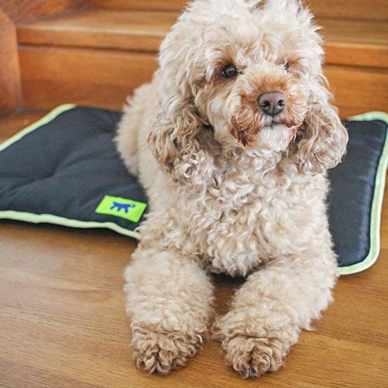 Ferplast Jolly Waterproof Cushion, 60 cm - Image 3