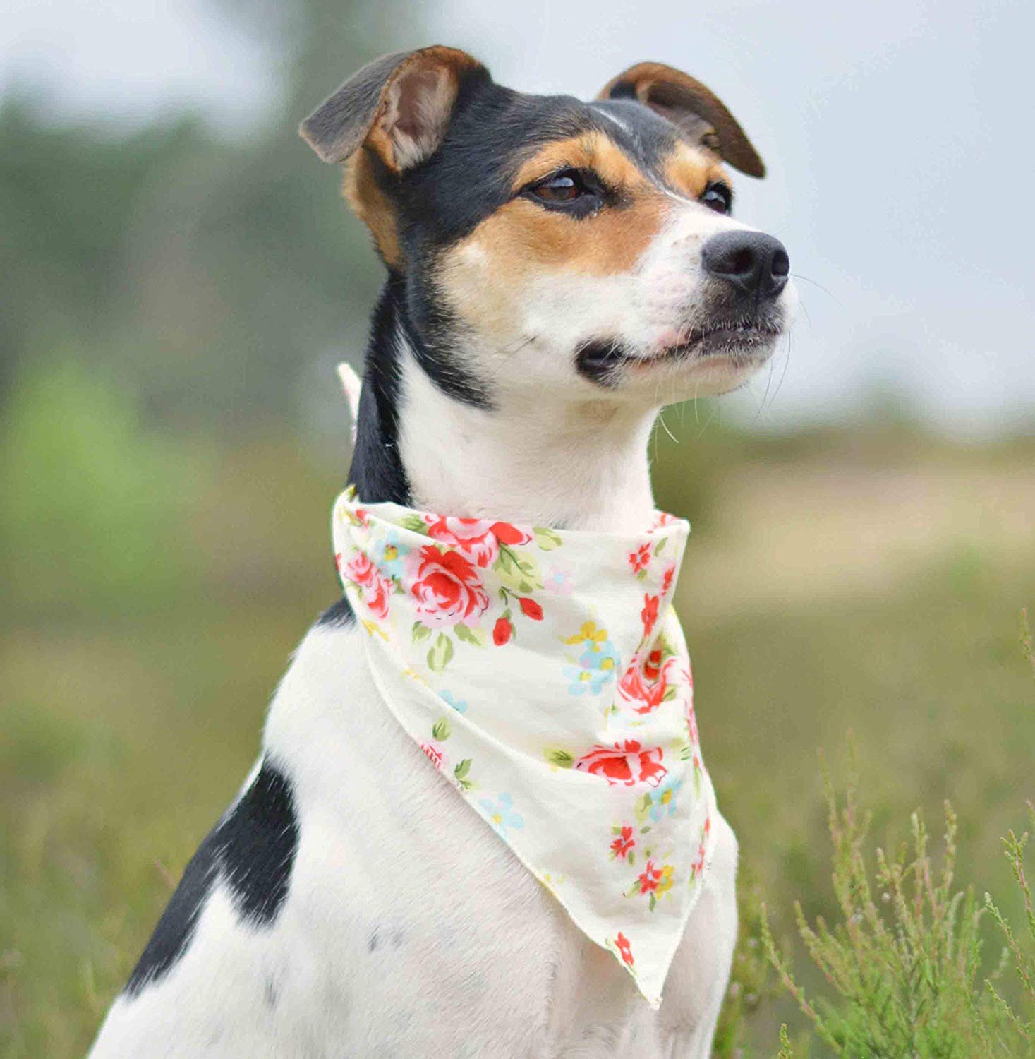Pet Pooch Boutique Vintage Bandana for Dog Medium/Large, Cream, Cream Vintage - Image 3