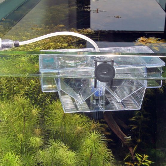 JBL BabyHome Oxygen Breeding Aquarium Box - Image 2