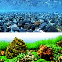 Wave Double Background Vision Blister, 45 X 100 cm