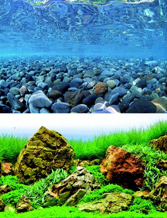 Wave Double Background Vision Blister, 45 X 100 cm